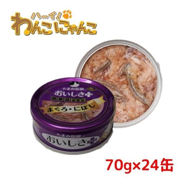 P[X̔ STIT[ ܂̓`vX ܂Eɂڂ 70g×24(No.34)Y