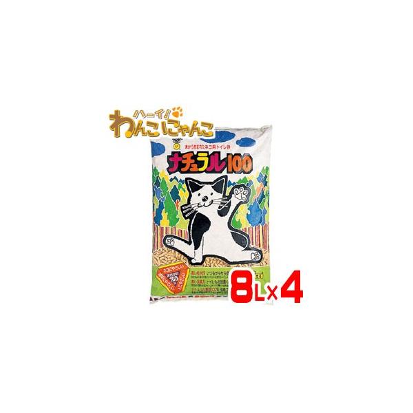 P[X̔ X[p[Lbg i`100 8L×4