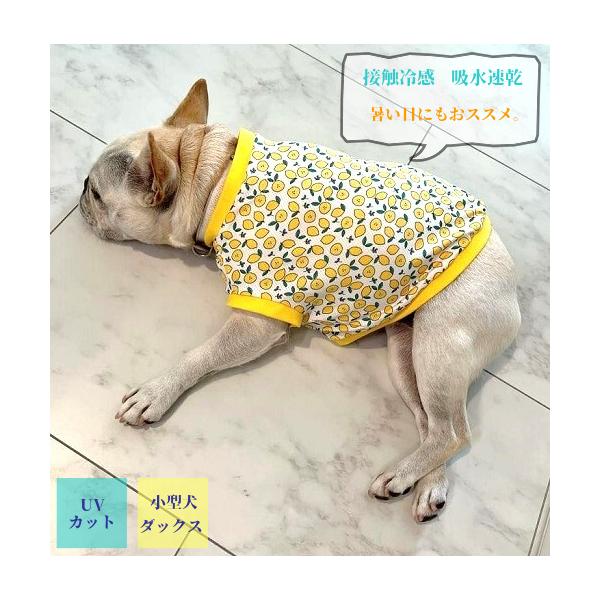 ひんや〜り接触冷感 吸水速乾 フレンチブルドッグ 服 さわやかもぎたて