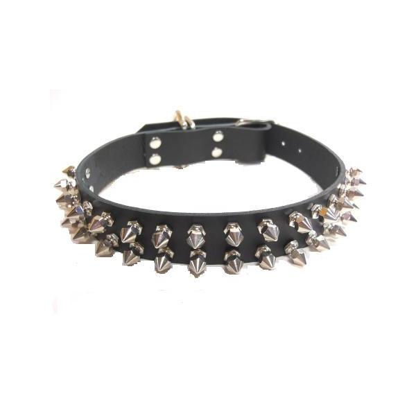 ^@^̎ց@U[3cm X^bYt {v Y v  킢 qD