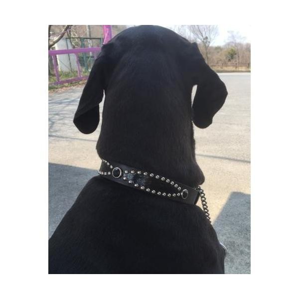 ^@^̎ց@3cm pC\U[ ubNX^bYt Y v  킢 qD