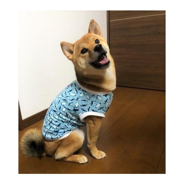 ^  Č  r[O  N[ŃX^CbV yMhhhhhhhhh xAVJbg\[