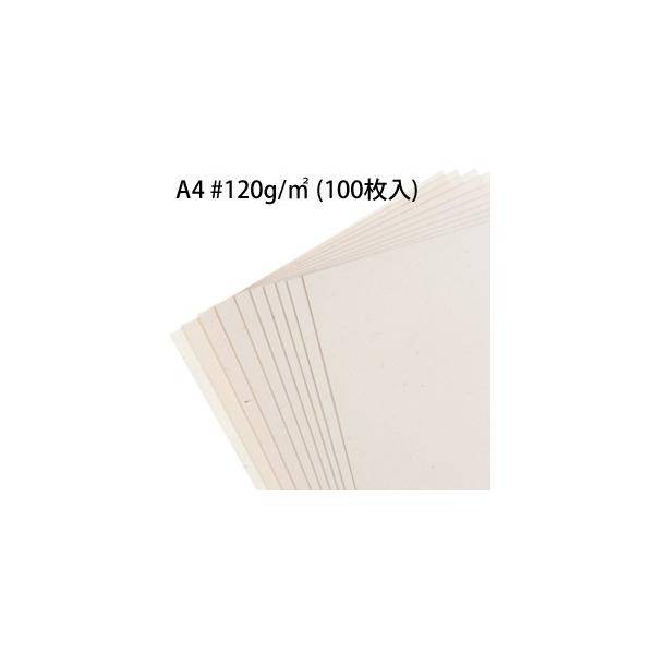 Rs[p a RF  120g A4 100