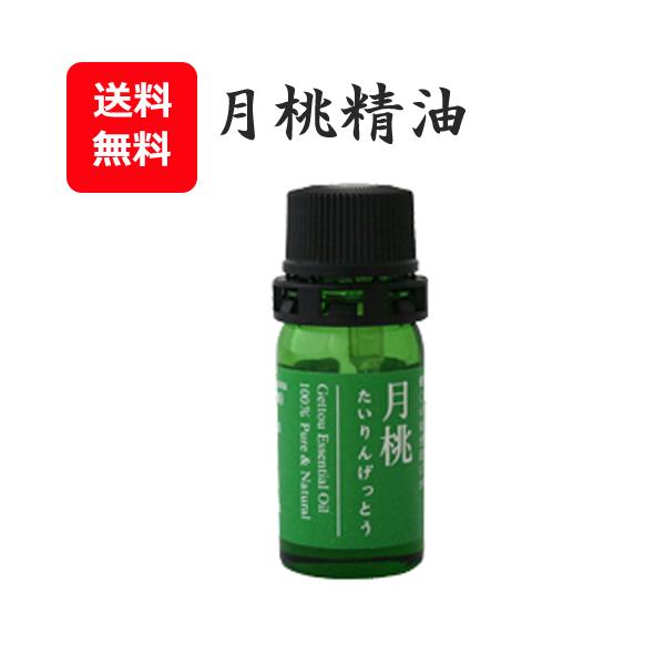 月桃 精油 エッセンシャルオイル タイリン月桃 5ml レターパック送料