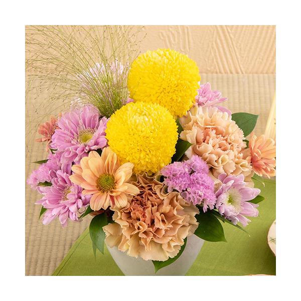 敬老の日 花 スイーツ 5種類から選べるスイーツとお花のセット 和菓子 花束 リンドウ ギフト プレゼント 源吉兆庵 なだ万 ユーハイム 日比谷花壇 Buyee Buyee Japanischer Proxy Service Kaufen Sie Aus Japan