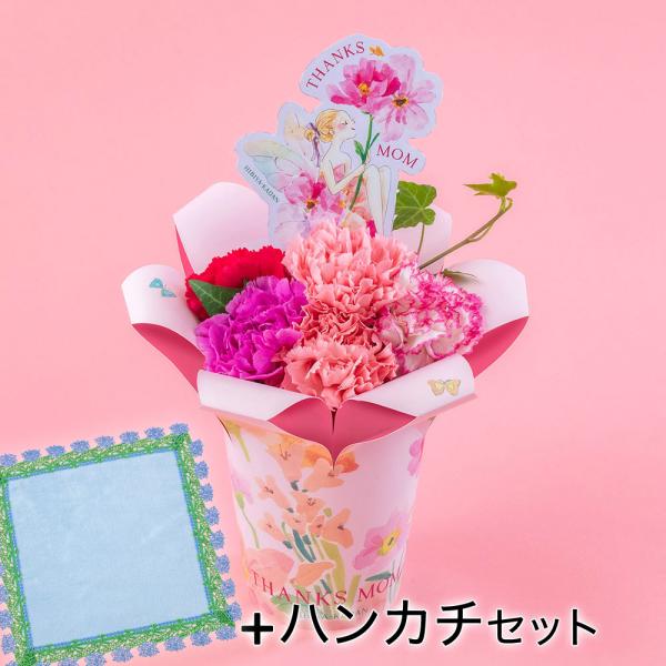 ■お届け2026/5/7 から 2026/5/10まででご指定ください※お届け日指定締切 2026/4/30 以降は指定不可■注文締切2026/04/30　14:00まで母の日は「ありがとう」を伝える日。紫のカーネーションの花言葉は「気品」...