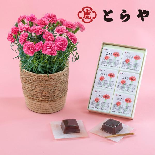 ■お届け2026/5/6 から 2026/5/10まででご指定ください※お届け日指定締切 2026/4/30 以降は指定不可■注文締切2026/05/07　14:00まで室町時代後期、京都で創業したとらや。その水羊羹は、しっかりとした食感と...