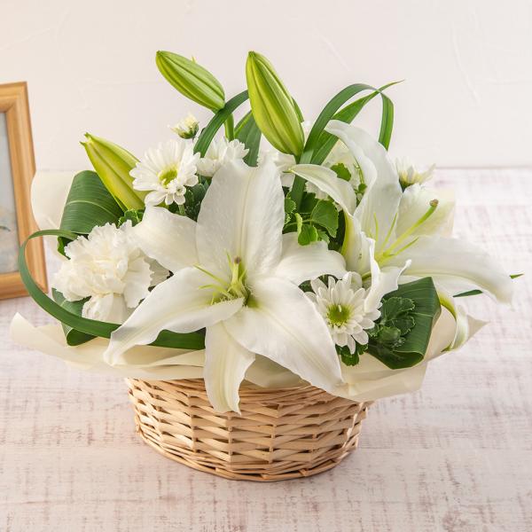 生花 ユリ 出産祝いの人気商品・通販・価格比較 - 価格.com 生花 ユリ 出産祝いの人気商品・通販・価格比較 - 価格.com