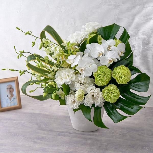 JԒd   p X^CbVAWguuGg[v   @  r ފ    