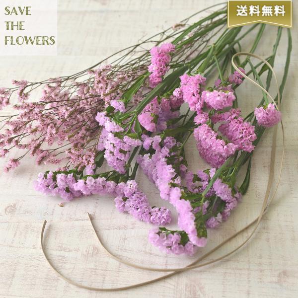 スターチス ドライフラワーの人気商品 通販 価格比較 価格 Com