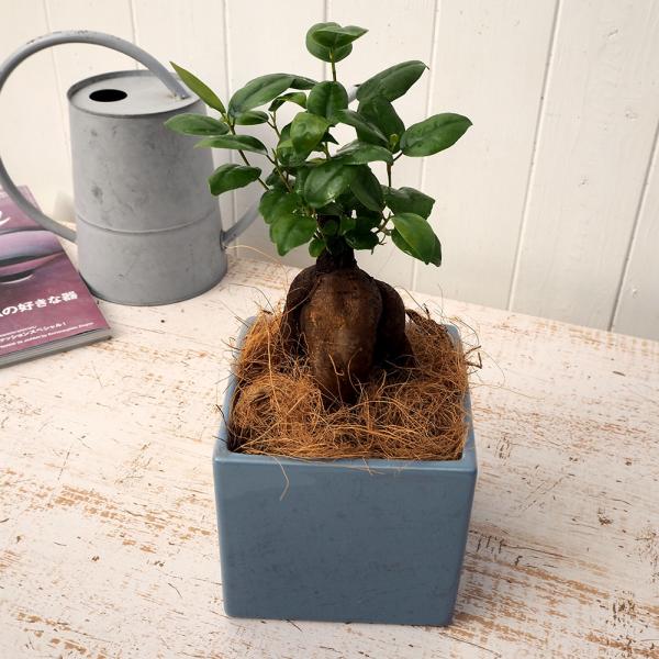 JԒd ϗtAulQKW}XNGA(S) v a  CeAO[ p LO Vzj JXj