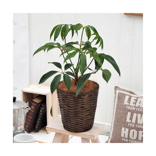 JԒd ϗtAucs^TXEoXPbgv a  CeAO[ p LO Vzj JXj 