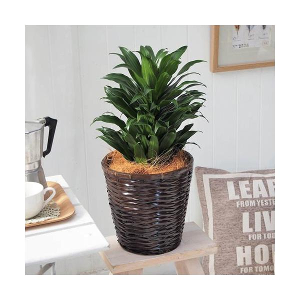 JԒd ϗtAuhZiRpN^EoXPbgv a  CeAO[ p LO Vzj JXj 