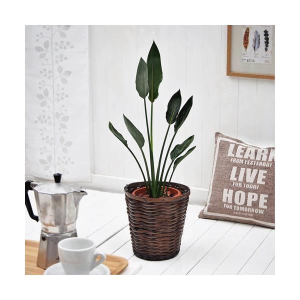 JԒd ϗtAuMlEoXPbgv a  CeAO[ p LO Vzj JXj 