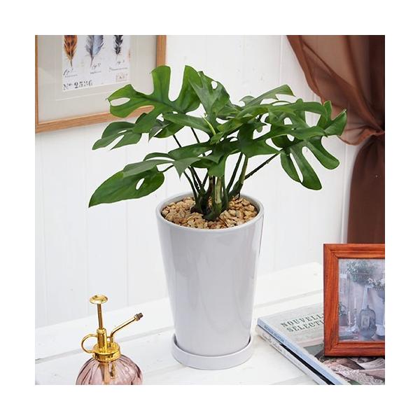 JԒd ϗtAuqXevzCg|bg a  CeAO[ p LO Vzj JXj 