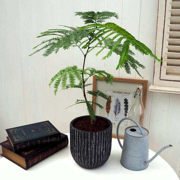 JԒd ϗtAuGo[tbV(AeB[N|bg)v a  CeAO[ p LO Vzj JXj 