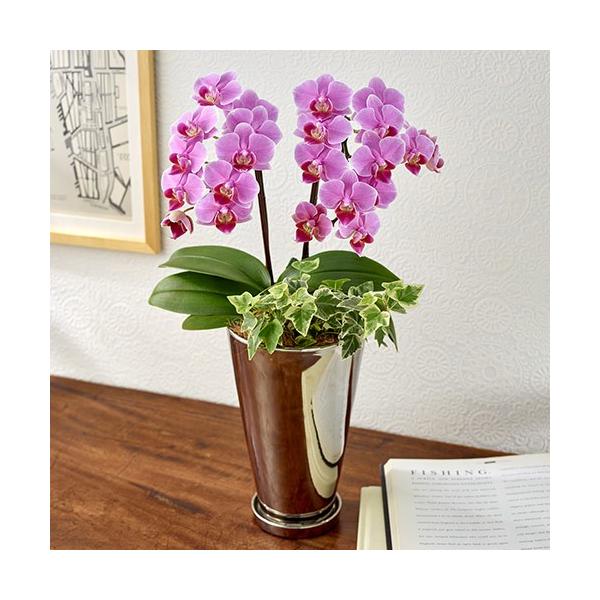 JԒd Ԕ Mtg ~fBӒ ϗt 2{uv a j JXj Vzj  t[Mtg