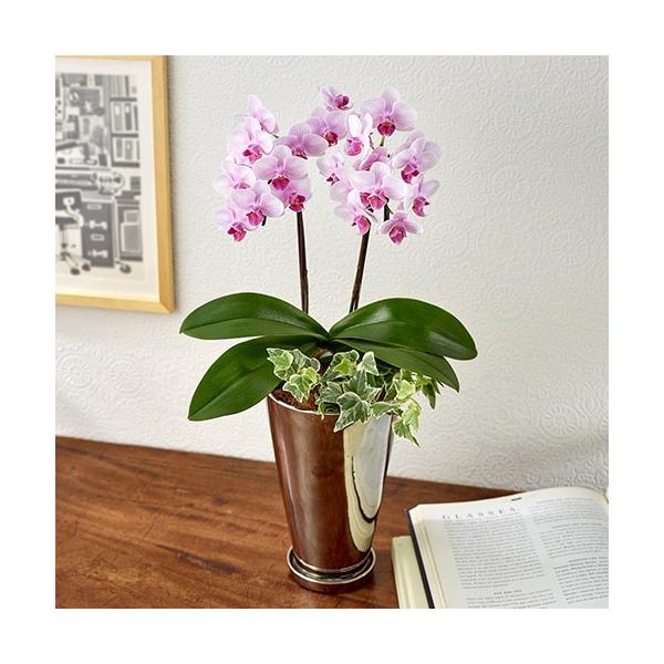 JԒd Ԕ Mtg ~fBӒϗt2{uv a j JXj Vzj  t[Mtg