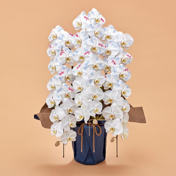 日比谷花壇デザイナーズ化粧蘭 KIN-GYOをレビュー