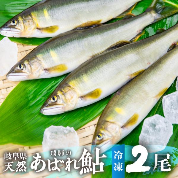 【完売御礼】 2026年 岐阜 天然鮎 飛騨のあばれ鮎 2尾 (16センチ以上) 天然 アユ 鮎 友釣り 取り寄せ 冷凍 岐阜県 室田名人 飛騨 バーベキュー 川魚