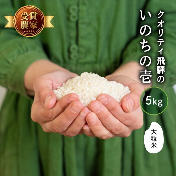 お米 5kg 新米予約 いのちの壱 白米 送料無料 精白米 飛騨産 飛騨の米 米 美味しい クオリティ飛騨 単一原料米 農家直送 お取り寄せ