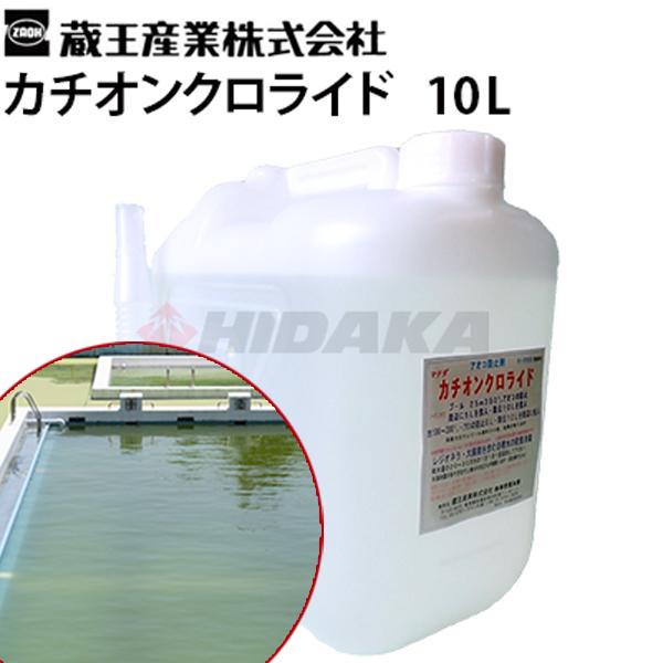 蔵王産業 業務用 藻防止剤 カチオンクロライド 10L 池 シーズンオフプール用 10リットル cach-10l-01 離島不可 代引き不可 メーカー直送