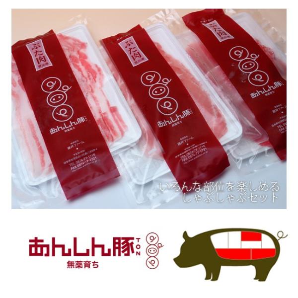 藤井ファーム 無薬育ち あんしん豚 ブロックセット カタロース モモ バラ カタ スペアリブ