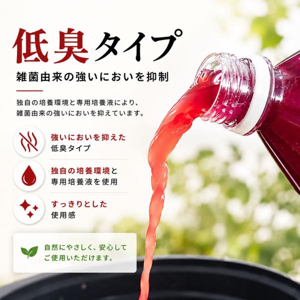 �G�� �������׋� PSB ���t 10L �_�� �{�Y �y����Â��� �����Ǘ��� ���i�摜1