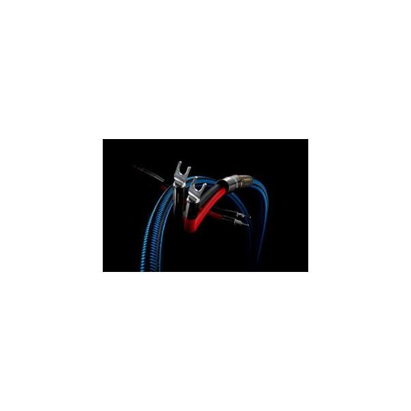 �]�m�g�[�� Zonotone �X�s�[�J�[�P�[�u�� 7NSP-Shupreme X  5.0m�y�����i�E�y�A�z�yYx2/Yx2�z�yYx2/Bx2�z���[���Q�`�R�T��
