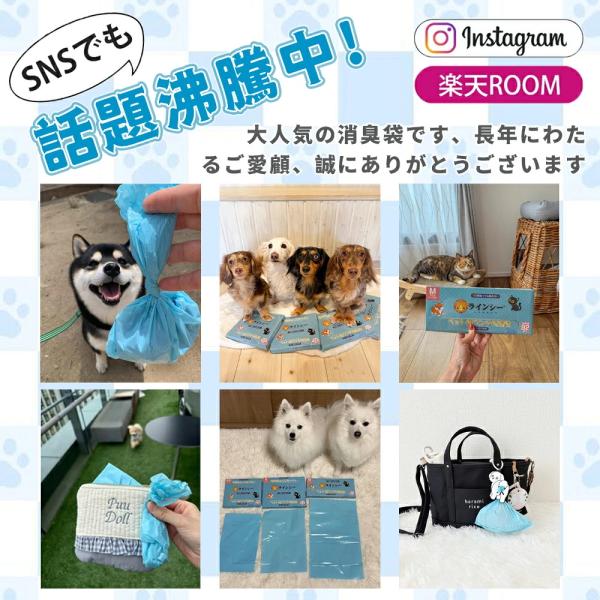higaki-shop_ccd-s_2_d_20260812172121