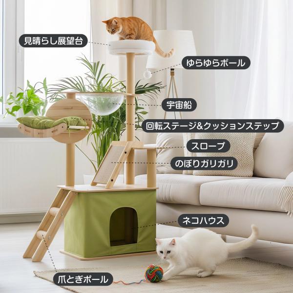 higaki-shop_mpj-y18_2_d_20251202120959
