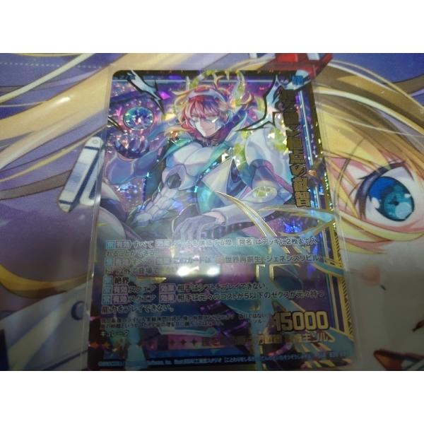 ホビーステーション特典ポスター(ヴァイスシュヴァルツ、ZX/ゼクス)