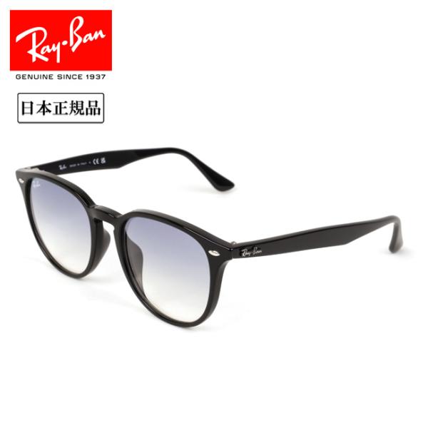 Ray-Ban（レイバン） RB4259 601/19 53 日本正規品 サングラス ロー