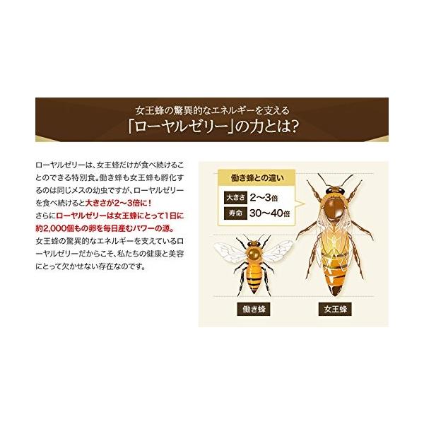 酵素分解ローヤルゼリーキング 袋入 100粒 Pn Mungkid Go Id Index Php