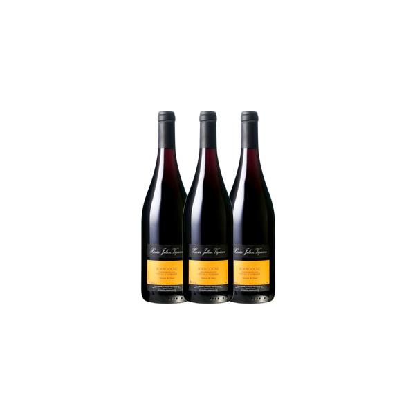 ブルゴーニュ コート ドーセール ルージュ テロワール ド ヴォー 750ml 3本セット ドメーヌ サン パンクラス ケース販売 正規品 取り寄せ品 フランス 赤 ワイン
