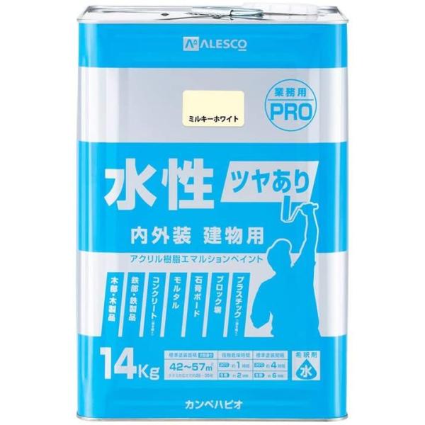 JynsI c茚pPRO ~L[zCg 14K 4972910009076