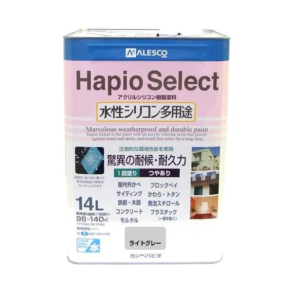 JynsI nsIZNg ₠ CgO[ 14L