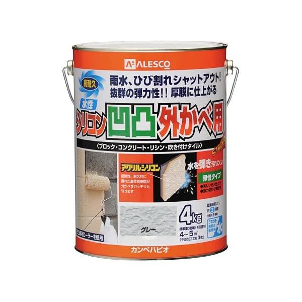 JynsI VRʊOחp O[ 4K