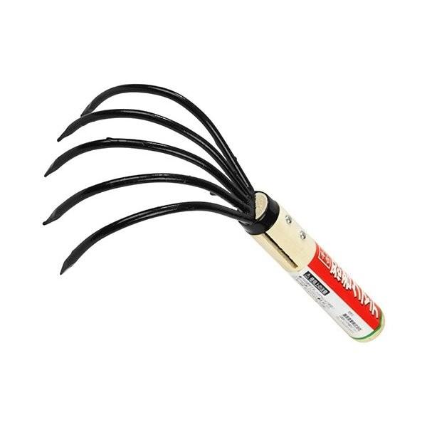 @@F@L̂N}f@5{܁@L̂ L ܂ ql܂