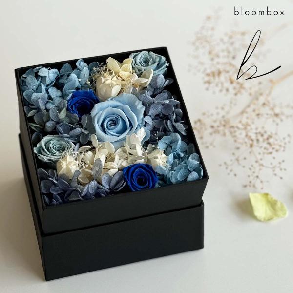 hihshop_040928994562156324394