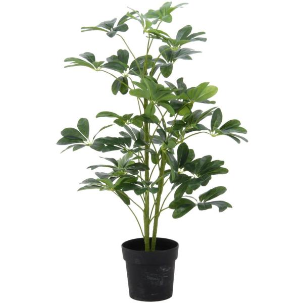 sf ϗtA htJmL 120cm O[ 52693