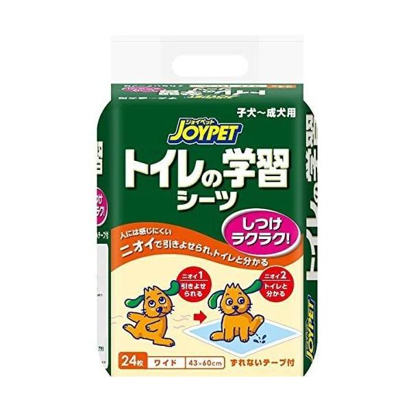 JOY PET WCybg gC̊wKV[cCh 24