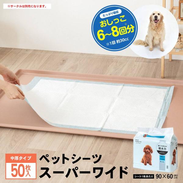 コーナンオリジナル LIFELEX ペットシーツ スーパーワイド 50枚入 （１枚サイズ：縦600×横900mm）/ トイレシート ペットシート 犬用 トイレ コーナン