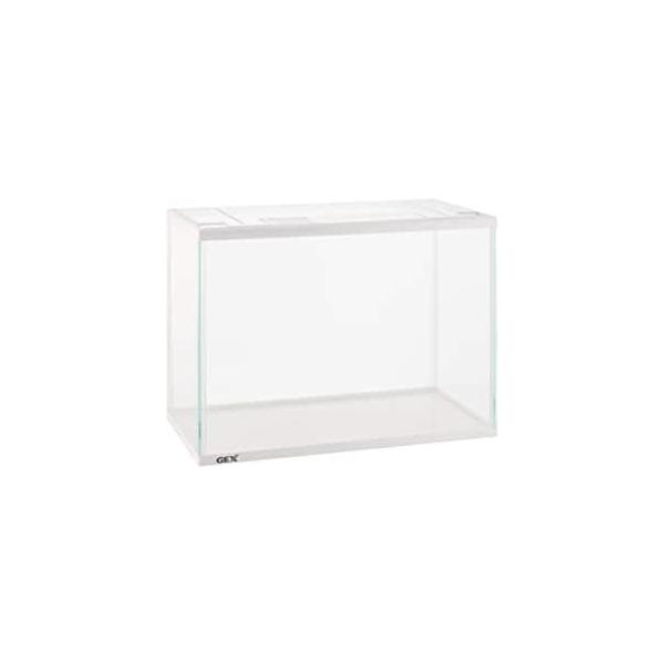 WFbNX  XANAzCgZbgM M TCY