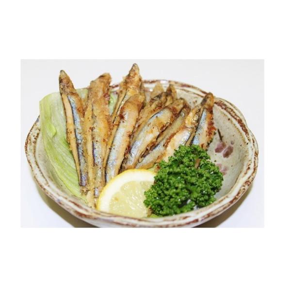 [ێRCY] Y тȂ g 1Kg LriS ȒP   O