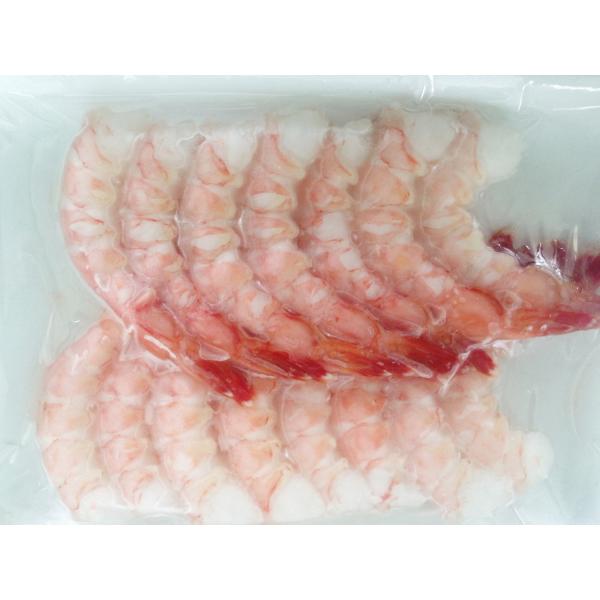 [ێRCY] Y  hg 15 Gr CV ȒP  O