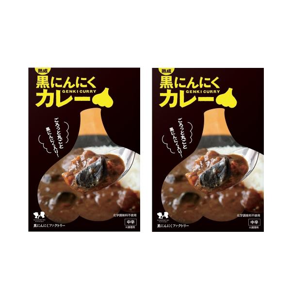 【自然共生】熟成黒にんにくカレー 180g×2 / グルメ 青森 国産 調味料 ガーリック ニンニク レトルトカレー レトルト食品