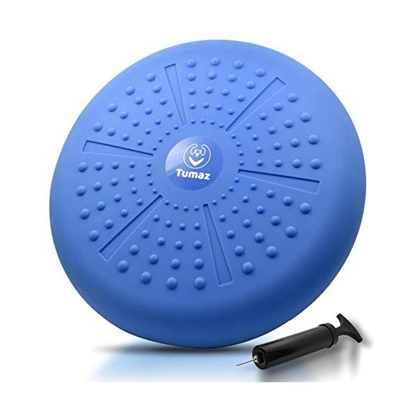 バランスディスク