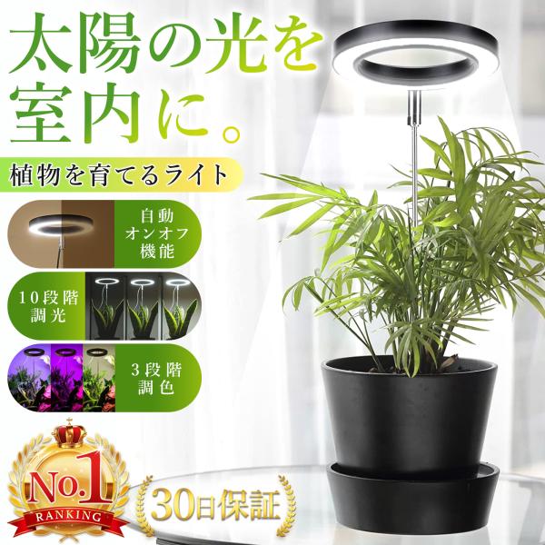 植物育成ライト LED スタンド タイマー 室内栽培 観葉植物 多肉