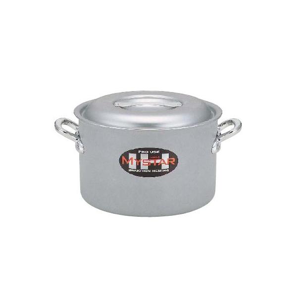 A~}CX^[@IHΉ@24cm@si